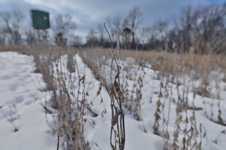 Ultimate Hunting Camp for Sale in Crawford County, WI - image 30