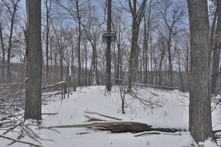 Ultimate Hunting Camp for Sale in Crawford County, WI - image 19