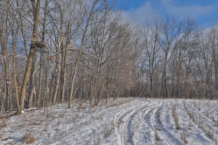 Ultimate Hunting Camp for Sale in Crawford County, WI - image 35