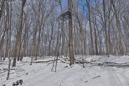 Ultimate Hunting Camp for Sale in Crawford County, WI - image 20
