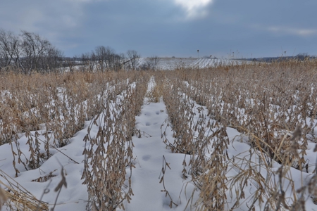 Ultimate Hunting Camp for Sale in Crawford County, WI - image 31