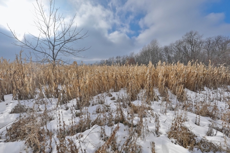 Ultimate Hunting Camp for Sale in Crawford County, WI - image 32