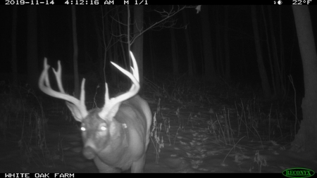 Ultimate Hunting Camp for Sale in Crawford County, WI - image 42