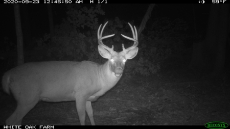 Ultimate Hunting Camp for Sale in Crawford County, WI - image 40