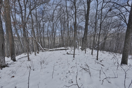 Ultimate Hunting Camp for Sale in Crawford County, WI - image 37