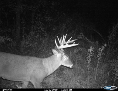 Ultimate Hunting Camp for Sale in Crawford County, WI - image 41