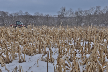 Ultimate Hunting Camp for Sale in Crawford County, WI - image 15