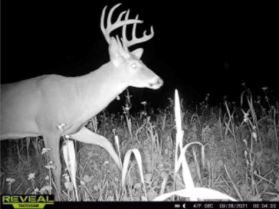 World-Class Hunting Camp for Sale in Crawford County, WI - image 45