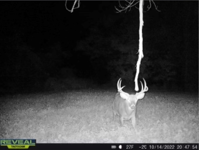 World-Class Hunting Camp for Sale in Crawford County, WI - image 44