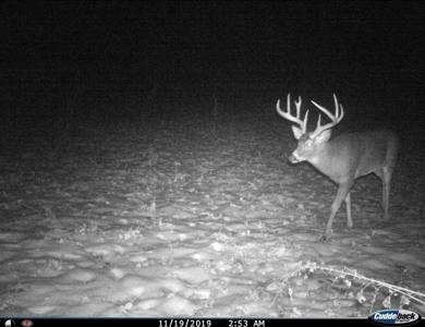 World-Class Hunting Camp for Sale in Crawford County, WI - image 43