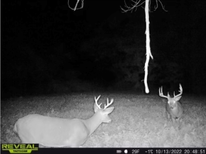 World-Class Hunting Camp for Sale in Crawford County, WI - image 42