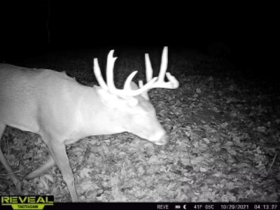 World-Class Hunting Camp for Sale in Crawford County, WI - image 46