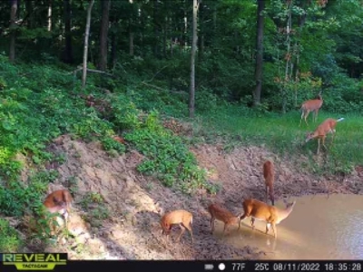 World-Class Hunting Camp for Sale in Crawford County, WI - image 41