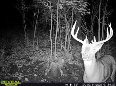 World-Class Hunting Camp for Sale in Crawford County, WI - image 48