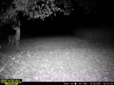 World-Class Hunting Camp for Sale in Crawford County, WI - image 47