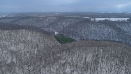 World-Class Hunting Camp for Sale in Crawford County, WI - image 21