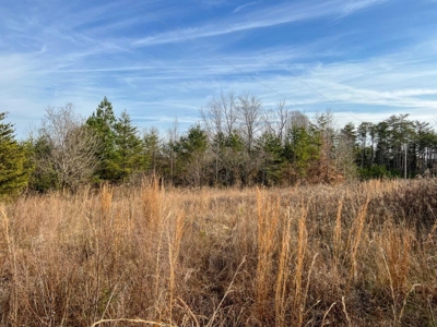Creek Front Land for Sale in Franklin County VA! - image 25