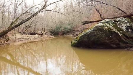 Creek Front Land for Sale in Franklin County VA! - image 21