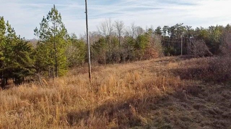Creek Front Land for Sale in Franklin County VA! - image 13