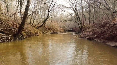 Creek Front Land for Sale in Franklin County VA! - image 16