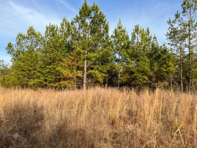 Creek Front Land for Sale in Franklin County VA! - image 26