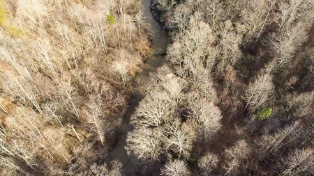 Creek Front Land for Sale in Franklin County VA! - image 11
