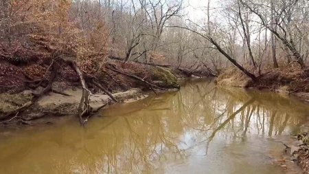 Creek Front Land for Sale in Franklin County VA! - image 22