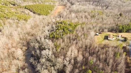 Creek Front Land for Sale in Franklin County VA! - image 9