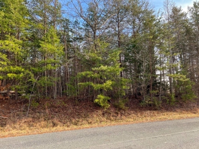 Creek Front Land for Sale in Franklin County VA! - image 27