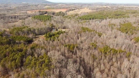 Creek Front Land for Sale in Franklin County VA! - image 4
