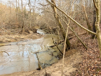 Creek Front Land for Sale in Franklin County VA! - image 33