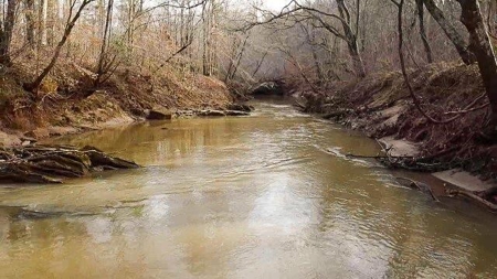 Creek Front Land for Sale in Franklin County VA! - image 19