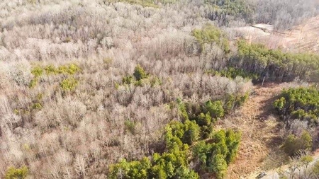 Creek Front Land for Sale in Franklin County VA! - image 1