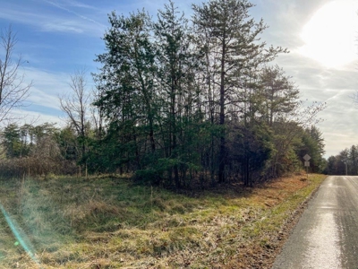 Creek Front Land for Sale in Franklin County VA! - image 24