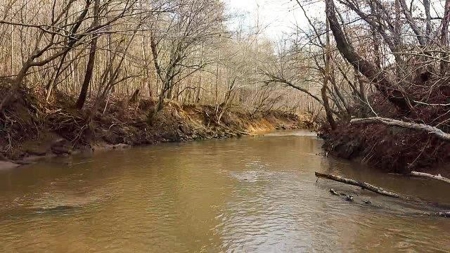 Creek Front Land for Sale in Franklin County VA! - image 14