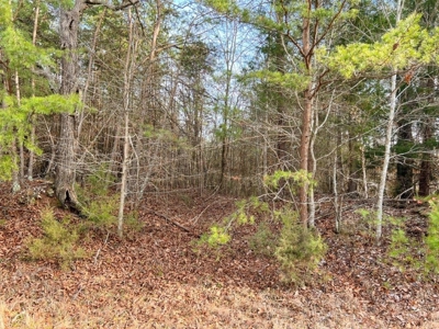 Creek Front Land for Sale in Franklin County VA! - image 29