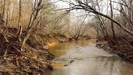 Creek Front Land for Sale in Franklin County VA! - image 15