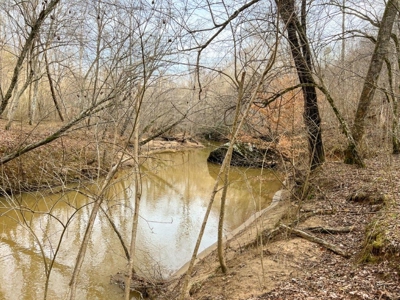 Creek Front Land for Sale in Franklin County VA! - image 31
