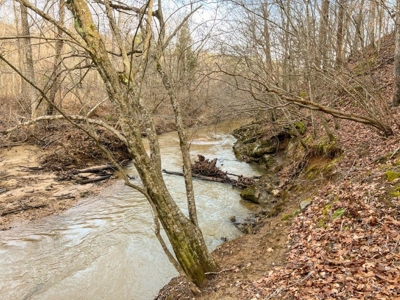 Creek Front Land for Sale in Franklin County VA! - image 32