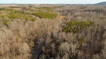 Creek Front Land for Sale in Franklin County VA! - image 12