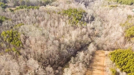 Creek Front Land for Sale in Franklin County VA! - image 5