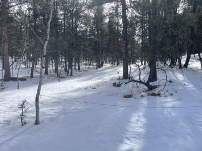 Land for Sale in the Colorado Mountains - image 2