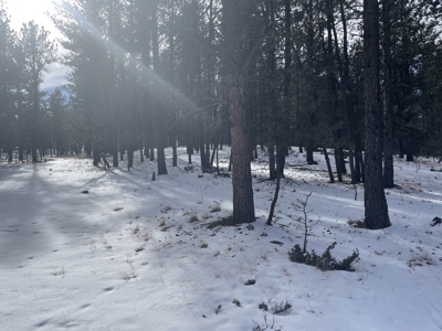 Land for Sale in the Colorado Mountains - image 4