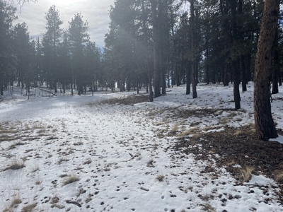Land for Sale in the Colorado Mountains - image 6