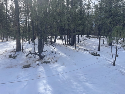 Land for Sale in the Colorado Mountains - image 3
