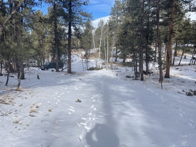 Land for Sale in the Colorado Mountains - image 12