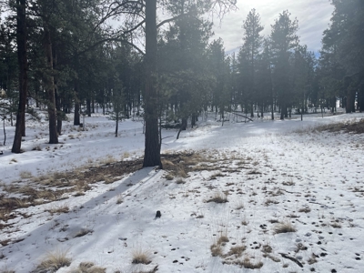 Land for Sale in the Colorado Mountains - image 8