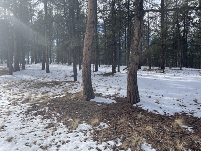 Land for Sale in the Colorado Mountains - image 7