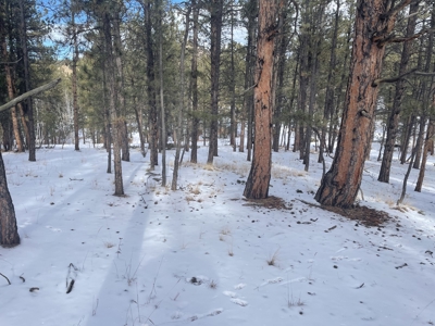 Land for Sale in the Colorado Mountains - image 11
