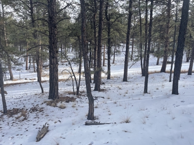 Land for Sale in the Colorado Mountains - image 10